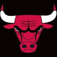 bulltheme