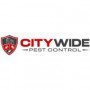 Citywideadelaide