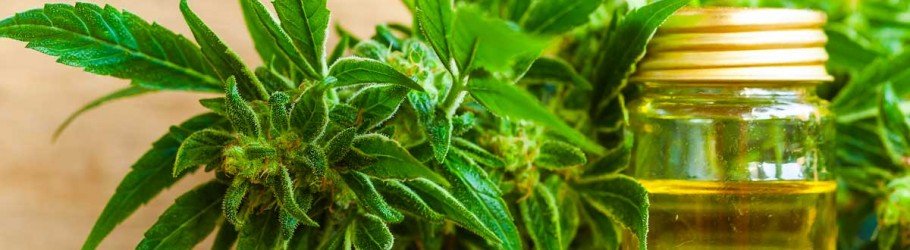 Bulkweedinboxonlinedispensary