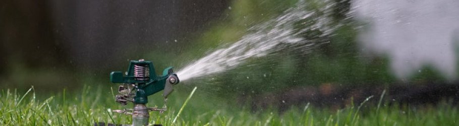 arbornomicsturf