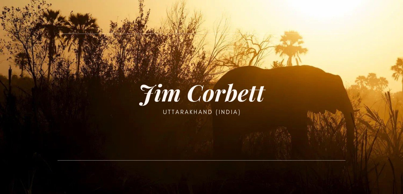 Jim Corbett National Park Tour Package(s) Online Booking at the Best Price / Cost