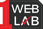 SEO Company in Delhi