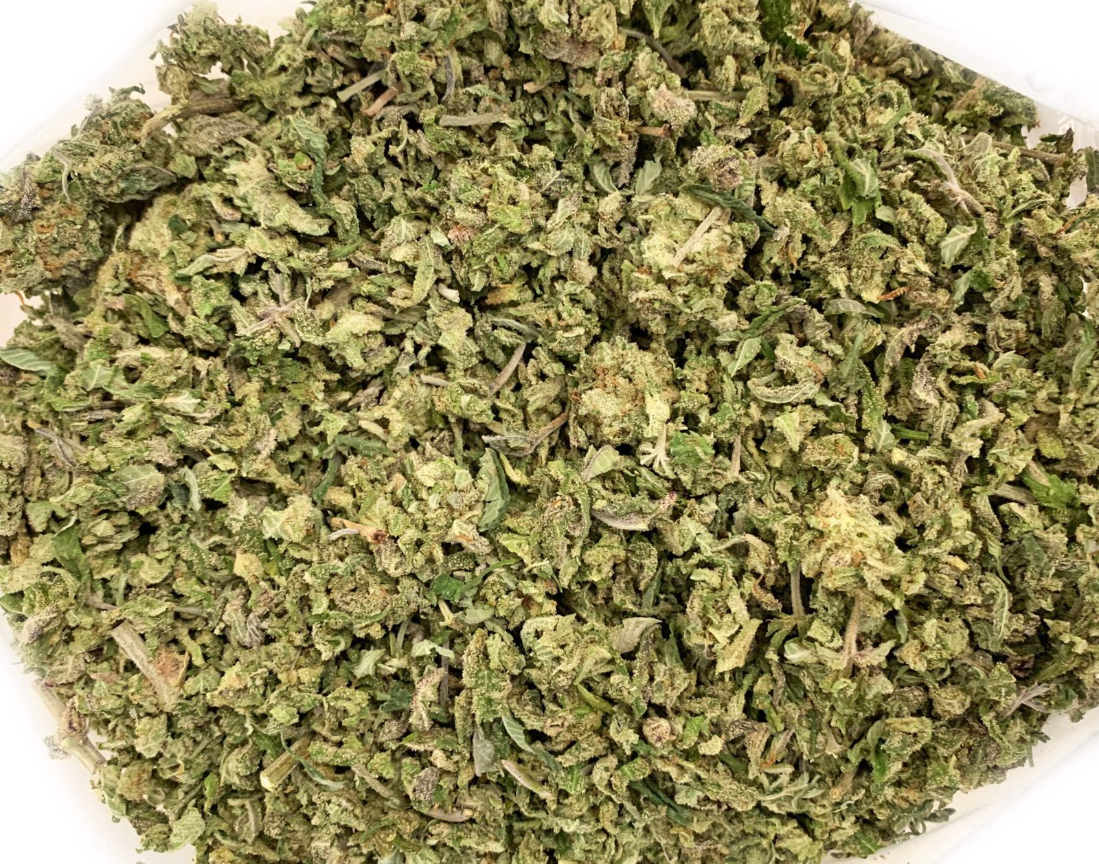 NUKEN INDICA SHAKE/TRIM