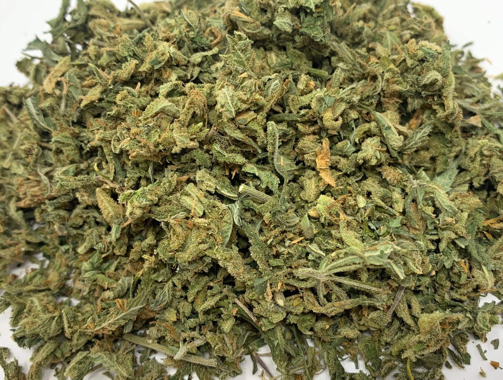 SHAKE/TRIM AAAA MONSTER KUSH HYBRID
