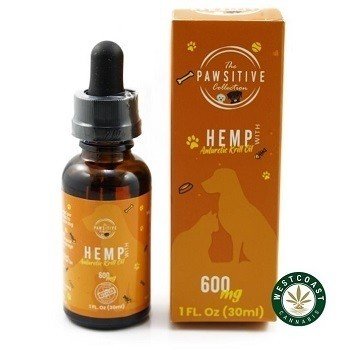 Pawsitive CBD Pet Tinctures – 600mg