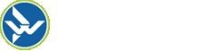 Qualified Custom Web Design Company in Melbourne
