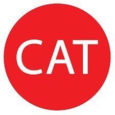IT staffing agency - cat america