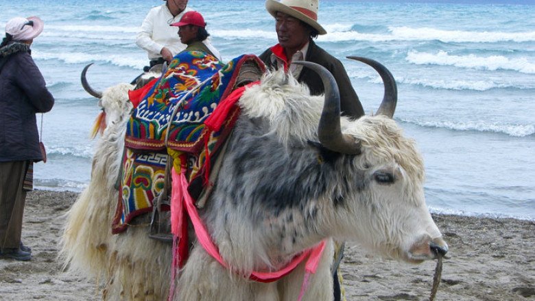 Everest Region Trekking Packages