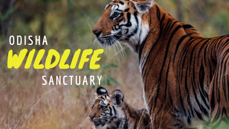 Incredible Odisha Travel and Tourism - Wildlife, History & Travel blog