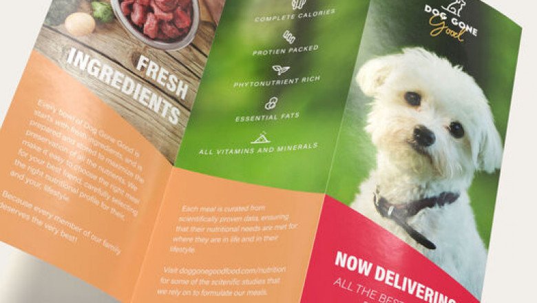 What are the precautions for tri-fold brochure printing?