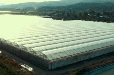 WE MANUFACTURE WORLD-CLASS COIR PRODUCTS FOR CULTIVATION SOLUTIONS