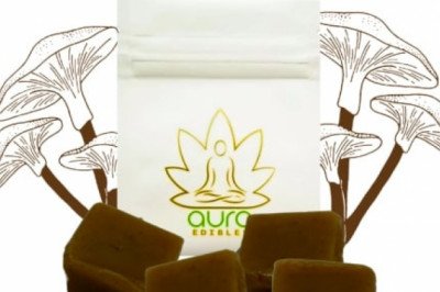 Aura Extract Artisan Psilocybe Caramels – Coco Chocolatier