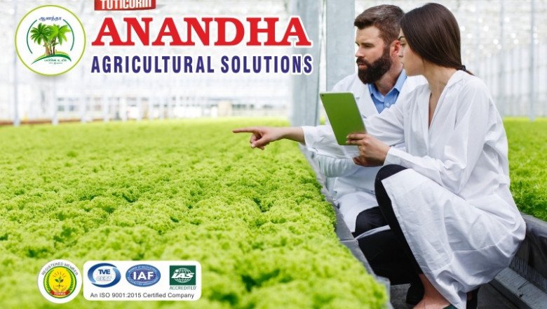 Best Nursery Garden Designer in Thoothukudi