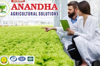 Best  Nursery Garden Designer in Thoothukudi