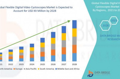 Global Flexible Digital Video Cystoscopes Market – Industry Trends and Forecast to 2028