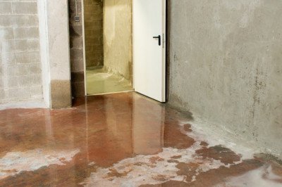 Best Water Damage Restoration Services in  Midvale