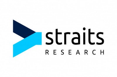 One-Way Valve Market Share, SWOT Analysis | Top Players AVK Holding A/S, DHV Industries, Flowserve Corporation