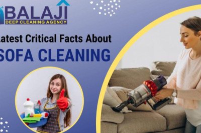 Latest Critical Facts About Sofa Cleaning