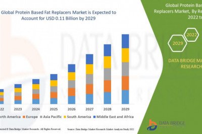 Protein Based Fat Replacers Market Demand, Insights and Forecast Up to 2029