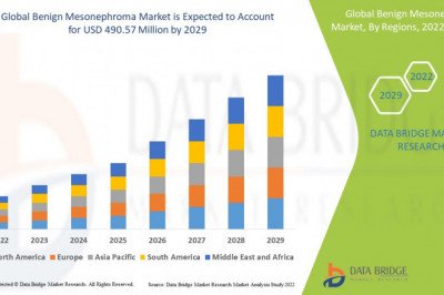 Benign Mesonephroma Market Incredible Growth