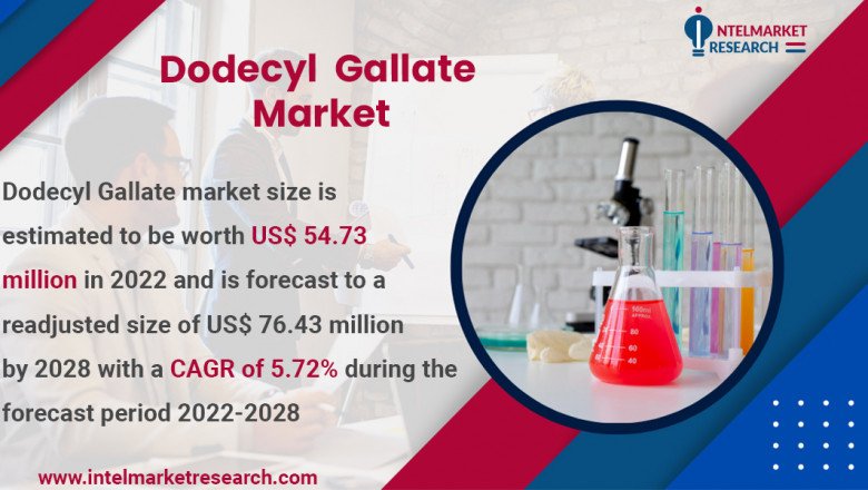 Dodecyl Gallate Market Sale Report Forecast 2022-2028