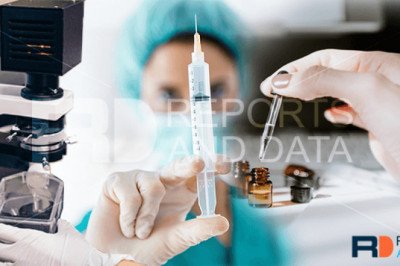 Spinal Cord Injury Market Size, Company Revenue Share, Key Drivers, and Trend Analysis, 2022–2028