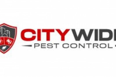 City Wide Pest Control Perth