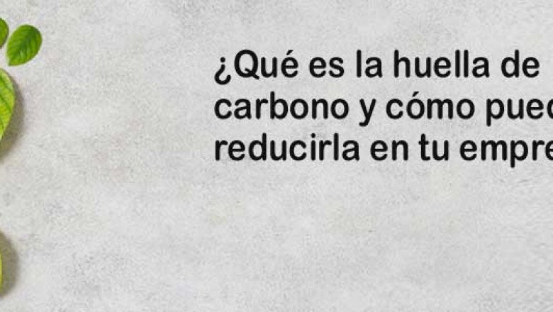 ¿Qué es la huella de carbono y cómo reducirla en tu empresa?