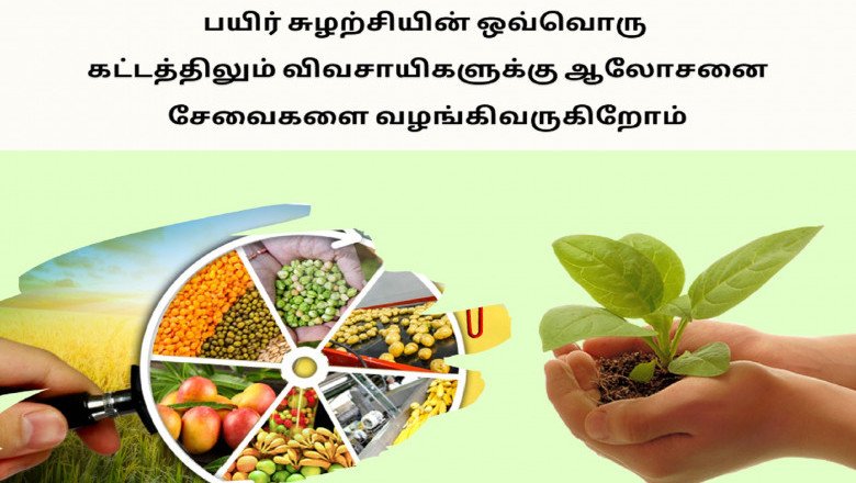 Organic Expert Consulting Service in Tamilnadu