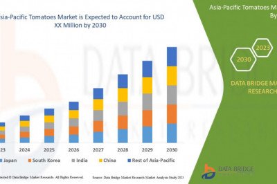 What are the business Opportunities  Asia-Pacific Tomatoes Market 2030 .