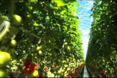 Village Farms International Promotional Video