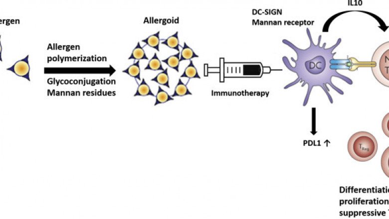 What are the Types of Europe And Japan Allergy Immunotherapy?
