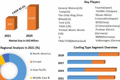 In Wheel Motor Market Size, Share, Past, Present Data And Forecast 2029