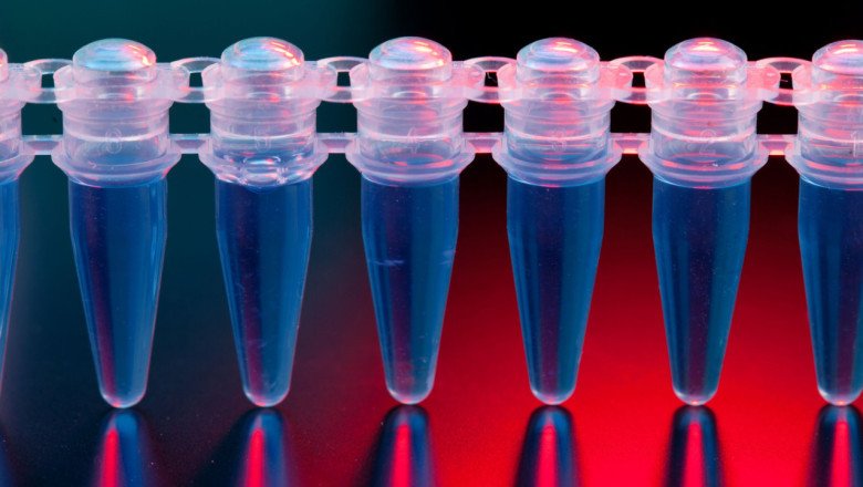A Polymerase Chain Reaction Creates Several Copies Of A Particular DNA Segment Through Molecular Biology