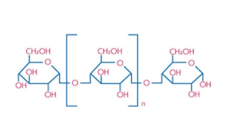Commercial Grain And Tuber Starches Can Be Converted Into Dextrin