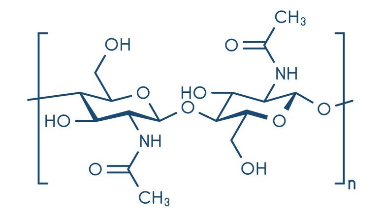 Many Applications Can Be Found For Chitin Because Of Its Unique Properties