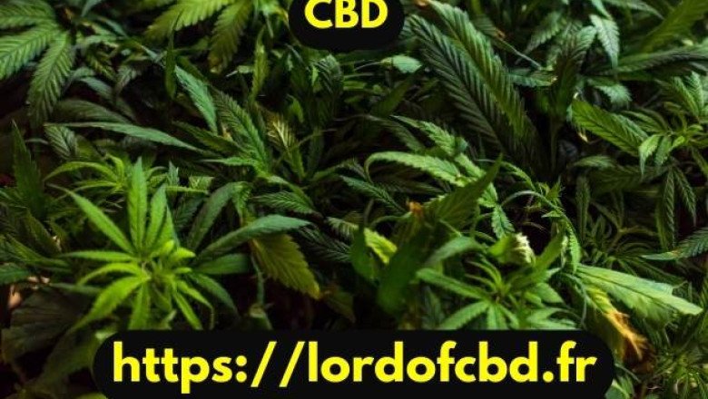 Bien dormir avec le CBD : nos meilleurs choix d'huiles qui vous aident à dormir