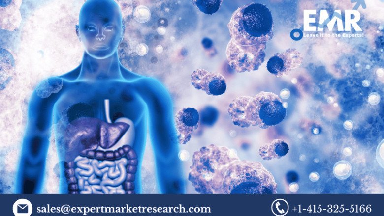 Global Cancer Immunotherapy Market Share, Price, Scope, Growth, Analysis, Report and Forecast Period Of 2023-2028