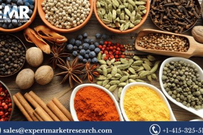 India Spices Market Size Share, Trends, Outlook, Report and Forecast Period Of 2023-2028