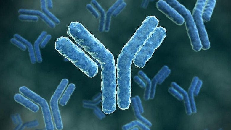 A Glycoprotein Molecule Produced By Plasma Cells Is Immunoglobulin, Also Known As An Immunoglobulin