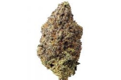 Ayahuasca Purple AAAA