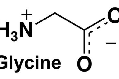 Humic Acid Market Global Trends, Market Share, Company Size, Growth, Opportunities and Market Forecast - 2022 to 2030