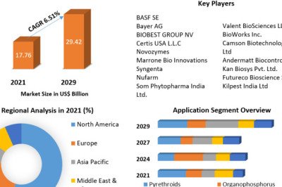 Insecticides Market By Application, By End User, By Region and Forecast 2029