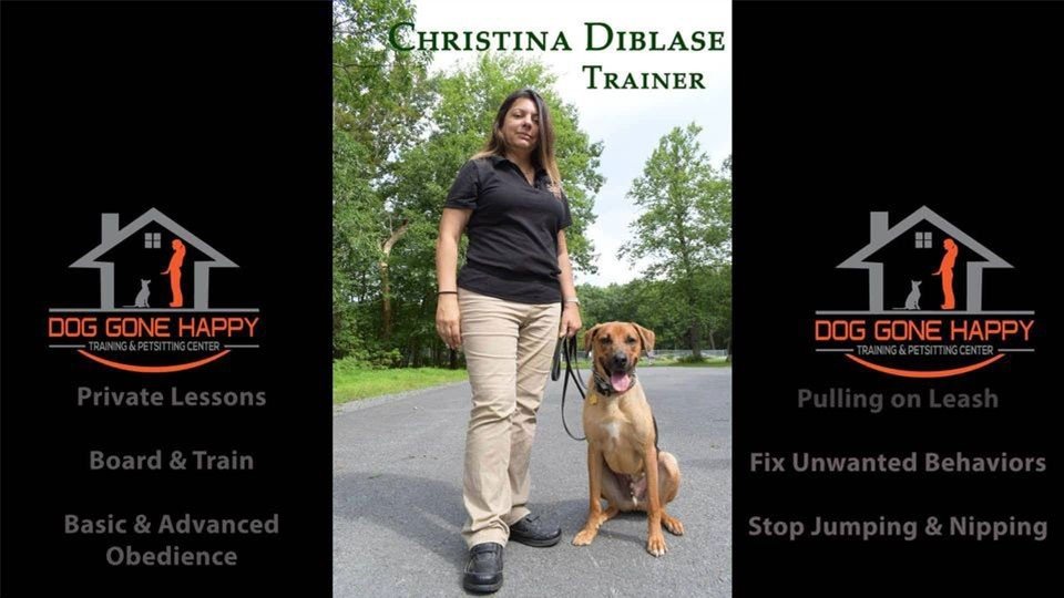TRAIN YOUR DOG WITH A PROFESSIONAL DOG TRAINER