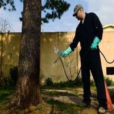 pest control london