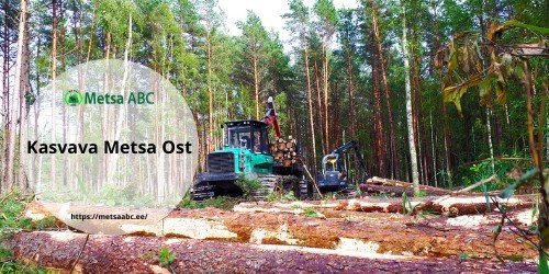 Kasvava Metsa Ost