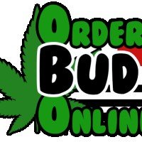 OrderBudOnline1