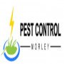 pestcontrolcampbelltown