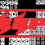 aeepltd01