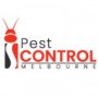 ibedbugcontrol